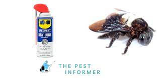 carpenter bees with wd 40