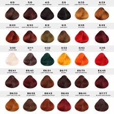 Hot Selling Salon For Hair Color Chart For Hair Dyeing Buy Hair Colour Chart Hair Colour Chart Hair Dye Color Book Product On Alibaba Com