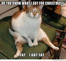 fatforchristmas.jpg via Relatably.com