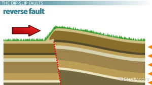 reverse fault definition locations