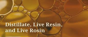 cans distillate vs live resin vs