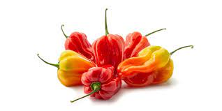 how to scotch bonnet peppers