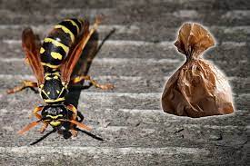Simple Trick to Keep Wasps and Bees Away from Your Yard