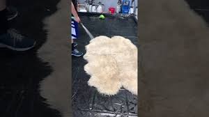 amazing sheepskin rug cleaning so