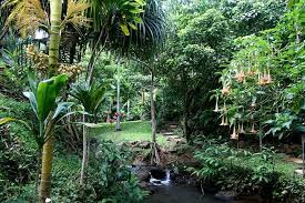 Kauai S Enchanting Botanical Gardens
