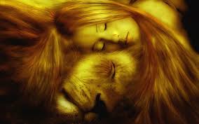 Image result for new moon in leo