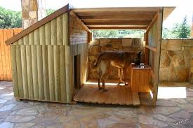 Build Backyard Dog Kennel Ideas