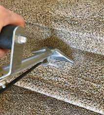 carpet cleaning petaluma ca rugs