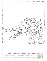 Tiger coloring pages let your kids take an adventure into the jungle with the big cats, while letting them express themselves. Baby Cute Tiger Coloring Pages Coloring Pages Ideas