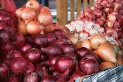 Do onions help clean your blood?