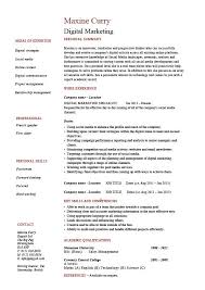        Resume Sample For Digital Marketing    Doc Resume          Marketing  Resume Example Resume Large     VisualCV