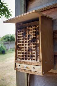 Mason bees are also attracted to bright flowers, particularly blue, purple, and yellow ones. Nestboxtech How To Make A Solitary Bee Box