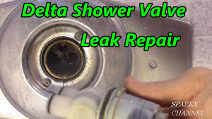 delta single handle shower valve leak