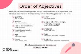 blush definition meaning yourdictionary