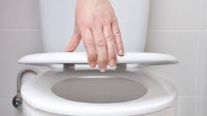 Rip off a piece of cling wrap big enough to cover the toilet bowl. The Function Of A Toilet Seat Lid Is To Protect The Users Goody Feed