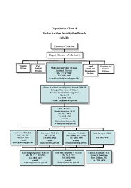 organization chart of marine accident