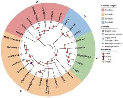 genome wide identification of gmsps