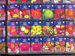 Image result for packets of seeds