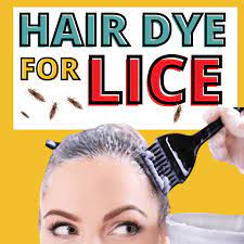 does hair dye kill lice or nits will