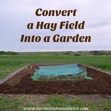 Convert A Hay Field Into A Garden