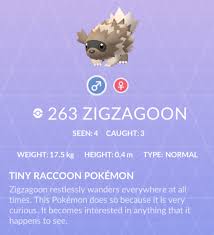 Zigzagoon - Pokemon GO Wiki Guide - IGN