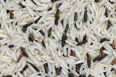 Can diabetics eat wild rice?