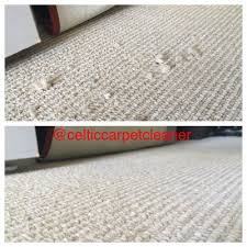 celtic carpet cleaner 787 ne 40th ct