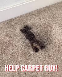 expertly repairing a burn patch on a carpet