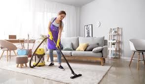 professional house cleaning services in
