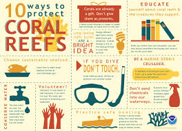 What Can I Do To Protect Coral Reefs