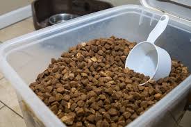 dog food container picks 9 for perfect