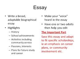 community service in college essays essays on community service