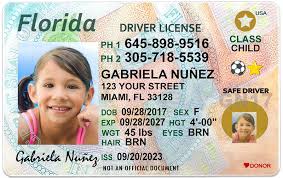 florida driver s licenses getting new