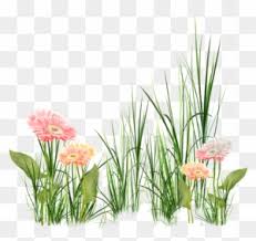 Subpng offers free fiori clip art, fiori transparent images, fiori vectors resources for you. Tubes Fiori In Png Bellissimi Grass Effects Hd Background Free Transparent Png Clipart Images Download