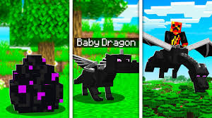In minecraft, an ender dragon is a boss mob. How To Train Your Dragon In Minecraft Pet Ender Dragon Youtube
