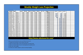 30 perfect weight loss spreadsheets