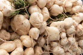 9 health benefits of jicama root bulb