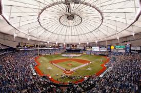 tropicana field a local s guide to