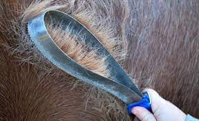 tips to sd up shedding season from