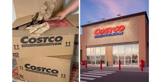 costco delivery how it works