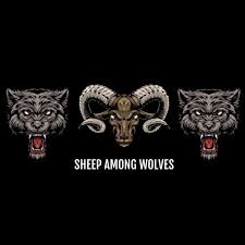 Sheep Among Wolves Podcast