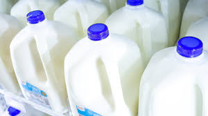 pasteurized milk