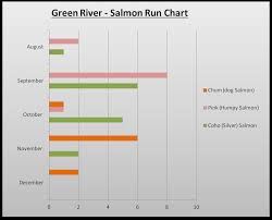 Green River Salmon Run Chart The Lunkers Guide