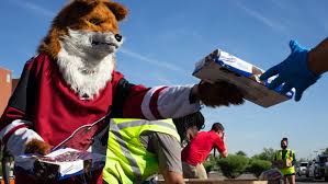 Howler thought he could rest in the peaceful quiet while the # coyotes were on their east coast road trip. Arizona Coyotes St Mary S Food Bank Give Meals To Families In Glendale