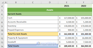balance sheet format of a company in