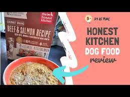 honest kitchen dog food review in