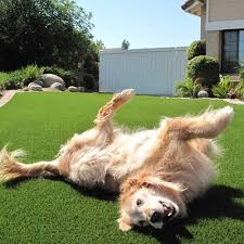 Artificial Grass Turf Ultimatepet For