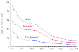 Perinatal Mortality Wikipedia