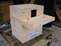 Barn Owl Nestbox For Buildings The