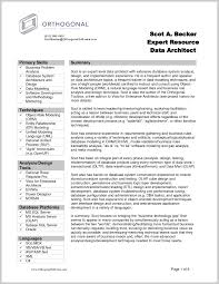 Resume Examples Business Analyst Resume Templates